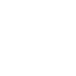 Spotify Icon